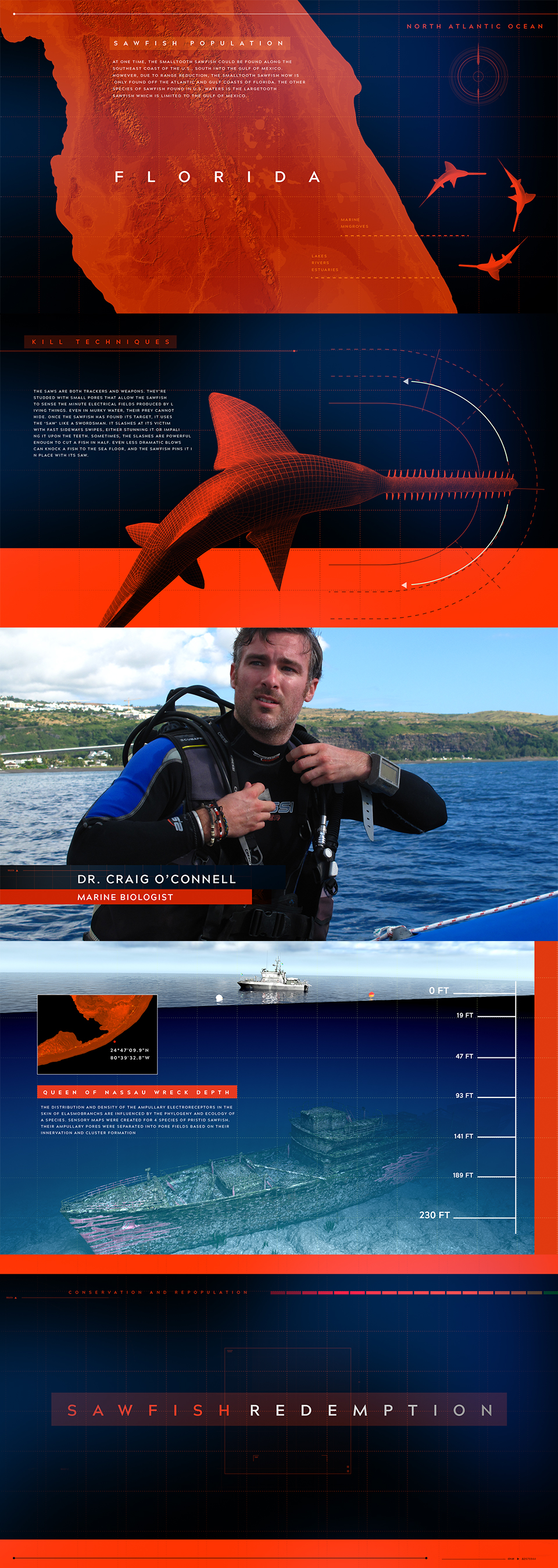 ProjectSlide sawfish 02